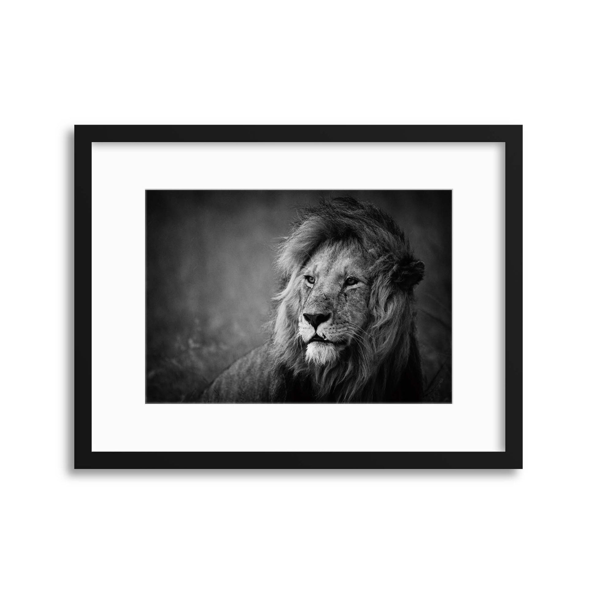 Regal by Mohammed Alnaser Framed Print - USTAD HOME