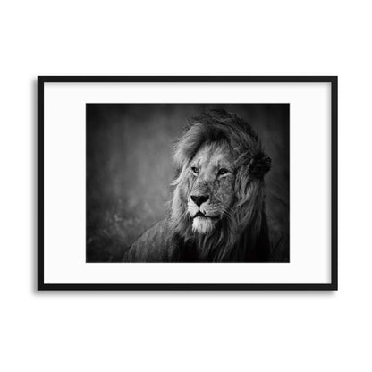 Regal by Mohammed Alnaser Framed Print - USTAD HOME