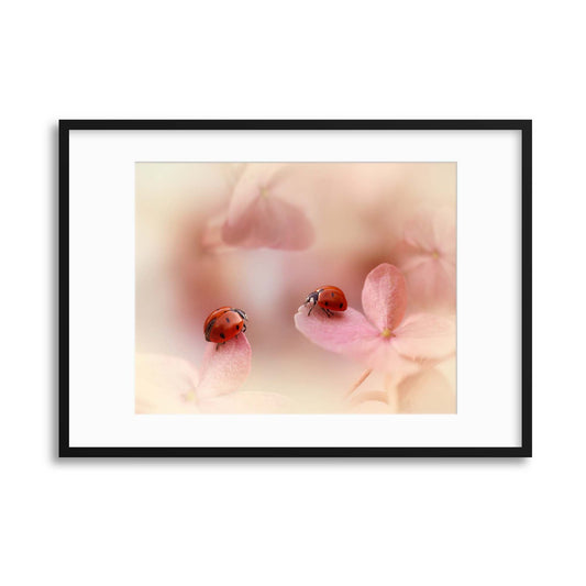 Ladybirds on Pink Hydrangea by Ellen van Deelen Framed Print - USTAD HOME