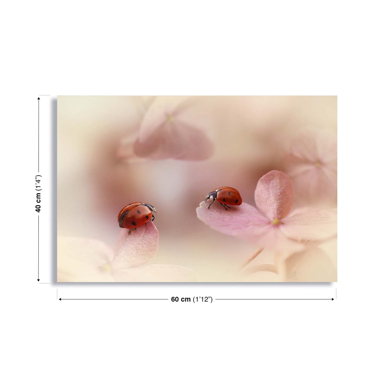 Ladybirds on Pink Hydrangea by Ellen van Deelen Canvas Print - USTAD HOME