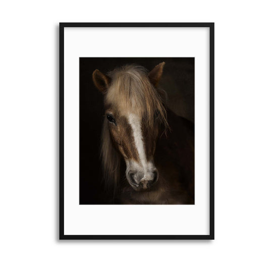 Sapience by Martine Benezech Framed Print - USTAD HOME