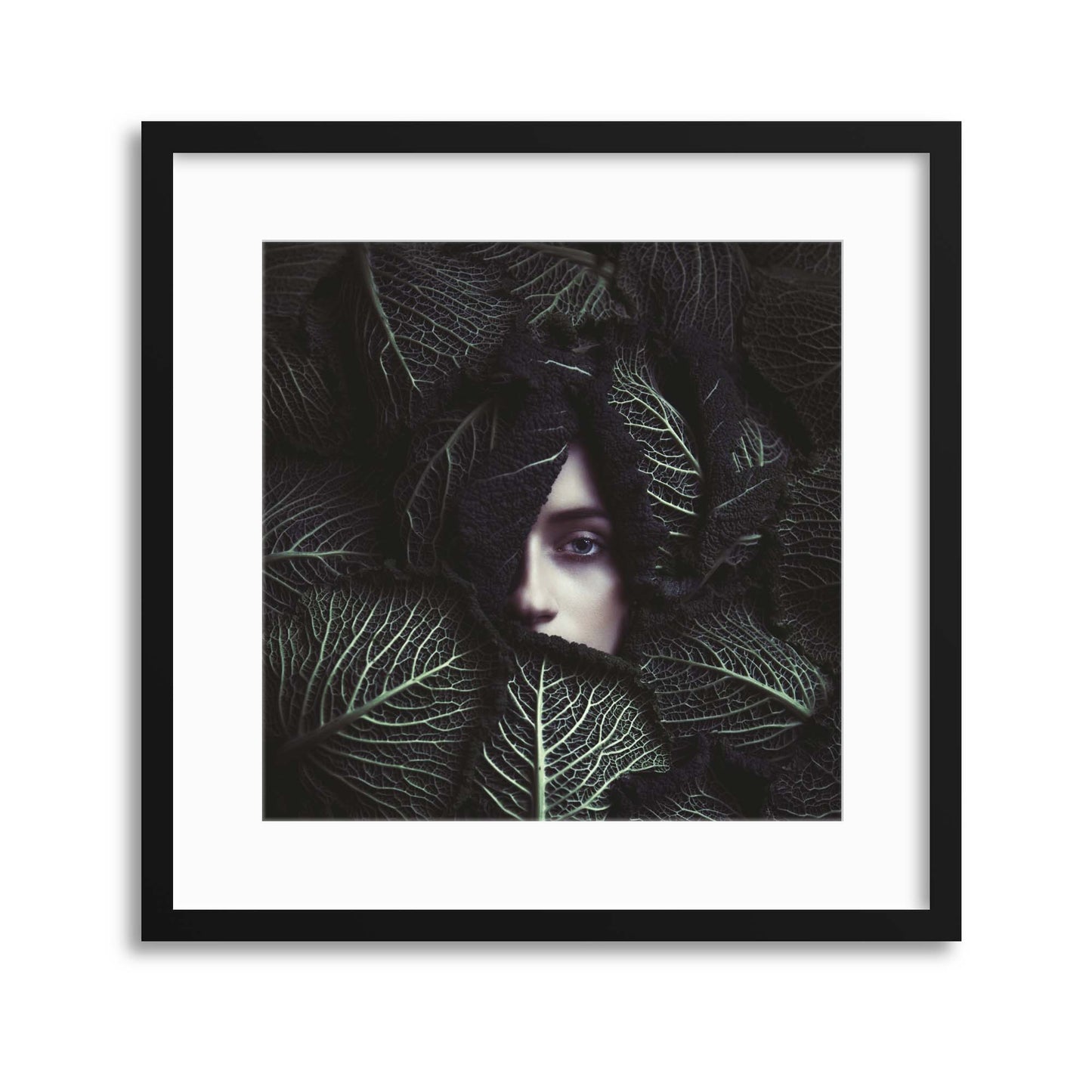 Cabbage by Magdalena Russocka Framed Print - USTAD HOME