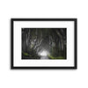Dark Hedges by Nicola Molteni Framed Print - USTAD HOME