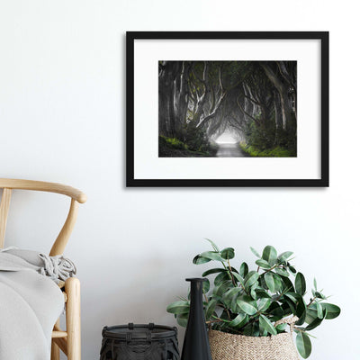 Dark Hedges by Nicola Molteni Framed Print - USTAD HOME