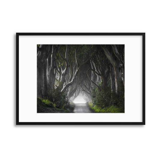 Dark Hedges by Nicola Molteni Framed Print - USTAD HOME