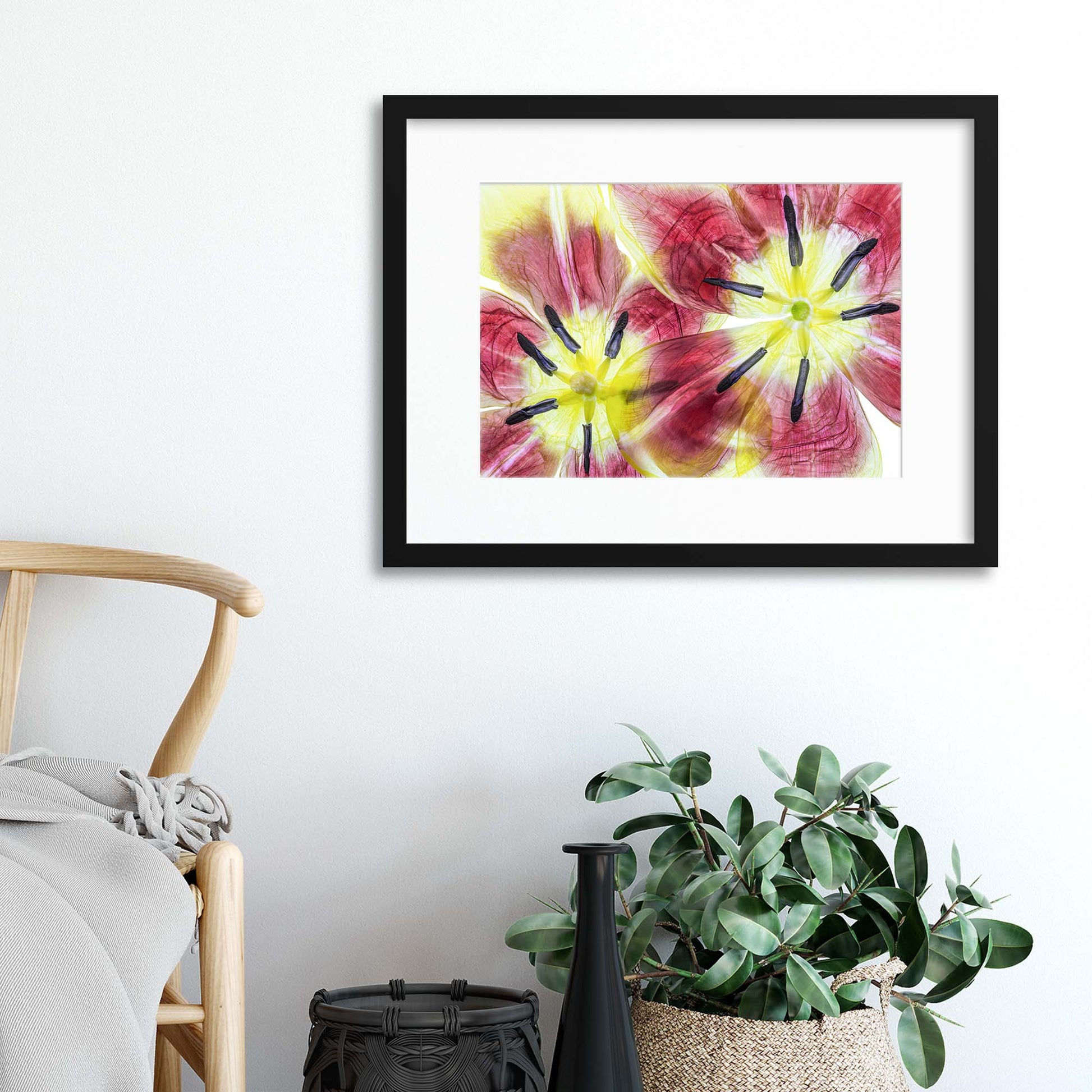 Tulips by Mandy Disher Framed Print - USTAD HOME