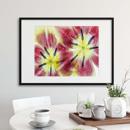 Tulips by Mandy Disher Framed Print - USTAD HOME