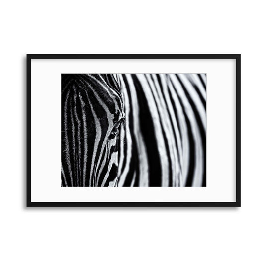 The Look of Nature by Marco Tagliarino Framed Print - USTAD HOME