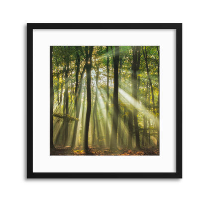 Sunny Start to the Day by Piet Haaksma Framed Print - USTAD HOME