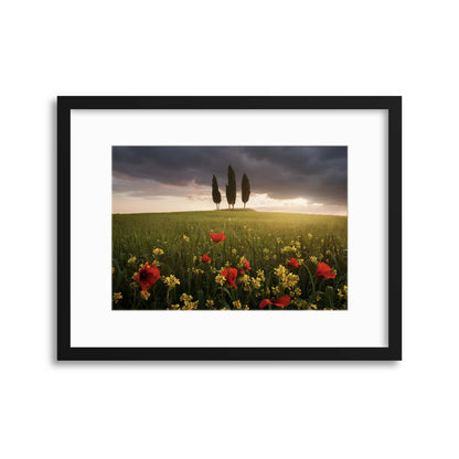 Blooming Tuscany by Daniel &#344;e&#345;icha Framed Print - USTAD HOME