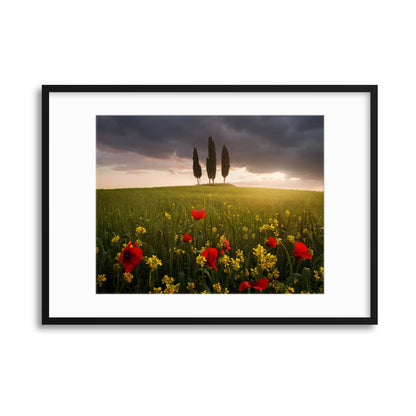 Blooming Tuscany by Daniel &#344;e&#345;icha Framed Print - USTAD HOME