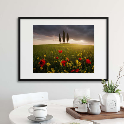 Blooming Tuscany by Daniel &#344;e&#345;icha Framed Print - USTAD HOME