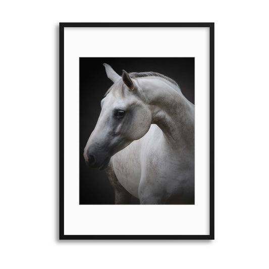 Maggie by Avishai Avivi Framed Print - USTAD HOME