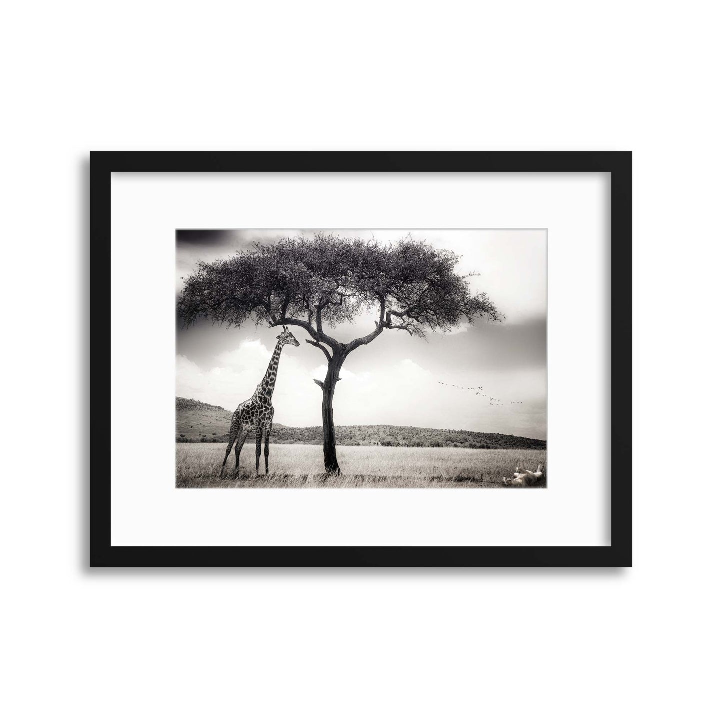 Under the African Sun by Piet Flour Framed Print - USTAD HOME