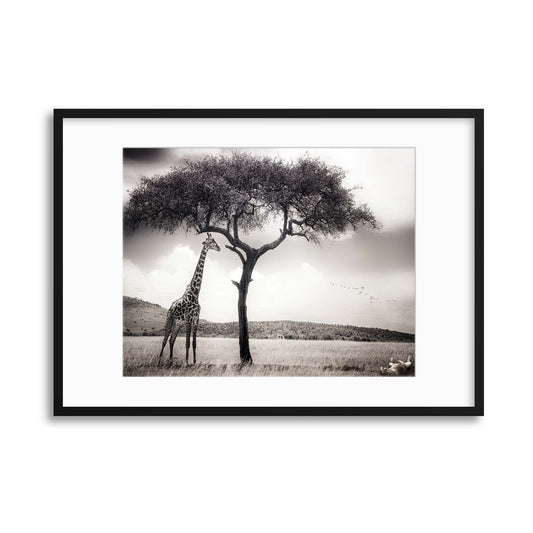 Under the African Sun by Piet Flour Framed Print - USTAD HOME