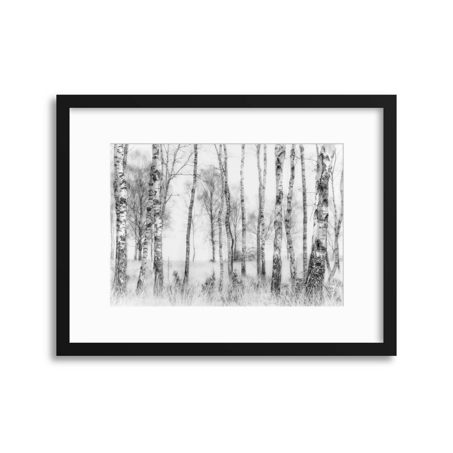 Black and White by Nel Talen Framed Print - USTAD HOME