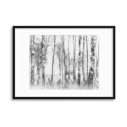 Black and White by Nel Talen Framed Print - USTAD HOME