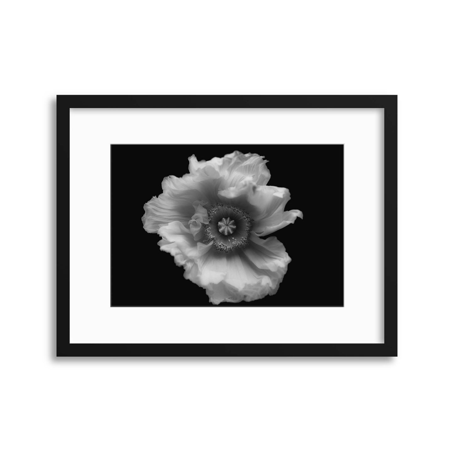 Poppy in Mono by Lotte Gr&oslash;nkj&aelig;r Framed Print - USTAD HOME