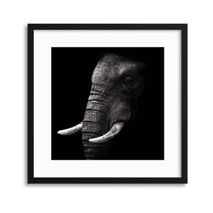 Portrait by WildPhotoArt Framed Print - USTAD HOME