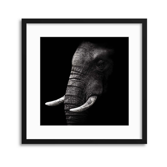 Portrait by WildPhotoArt Framed Print - USTAD HOME