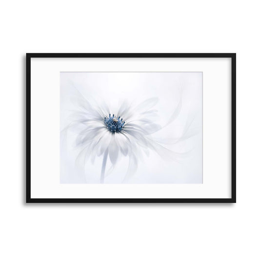 Serenity by Jacky Parker Framed Print - USTAD HOME