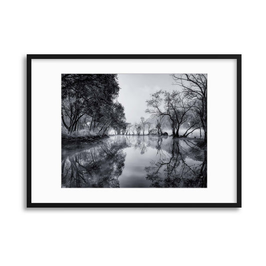 Healing Spot by Tiger Seo Framed Print - USTAD HOME