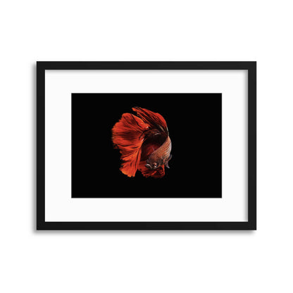 The Red by Andi Halil Framed Print - USTAD HOME