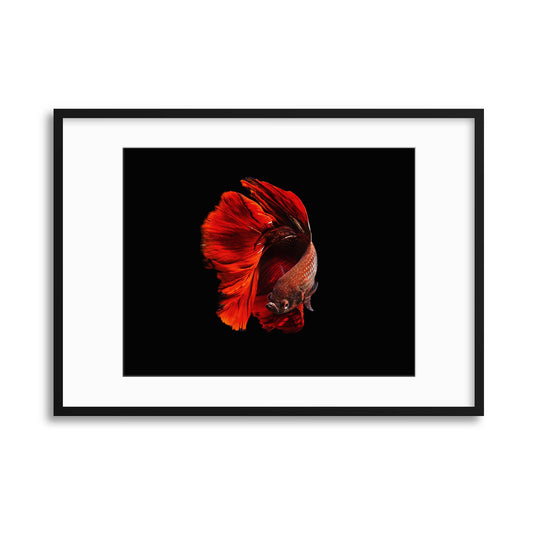 The Red by Andi Halil Framed Print - USTAD HOME