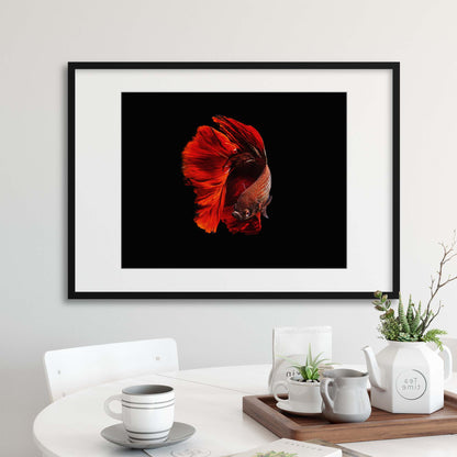 The Red by Andi Halil Framed Print - USTAD HOME