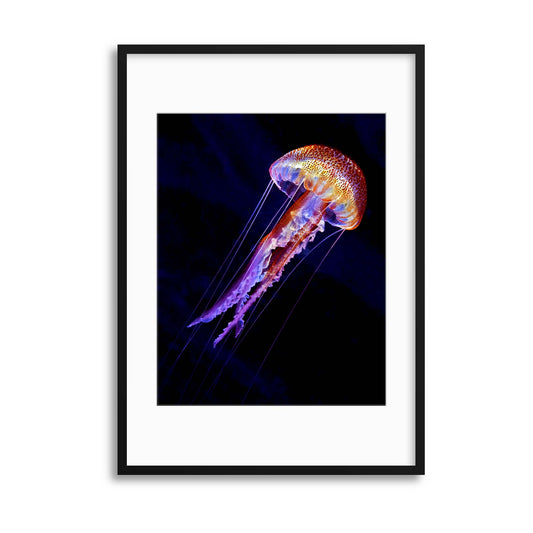 Jellyen by Henry Jager Framed Print - USTAD HOME