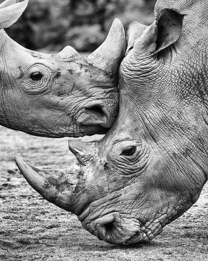 Face to Face by Jesus Concepcion Framed Print - USTAD HOME