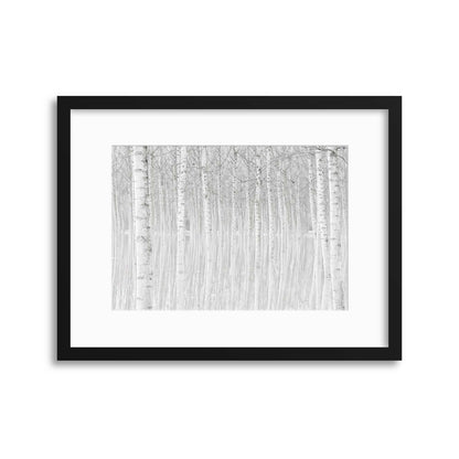 Trees by Aglioni Simone Framed Print - USTAD HOME