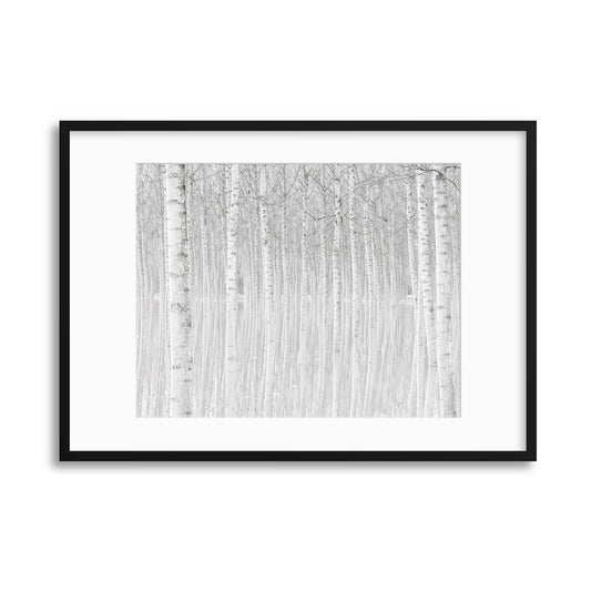 Trees by Aglioni Simone Framed Print - USTAD HOME