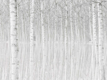 Trees by Aglioni Simone Canvas Print - USTAD HOME