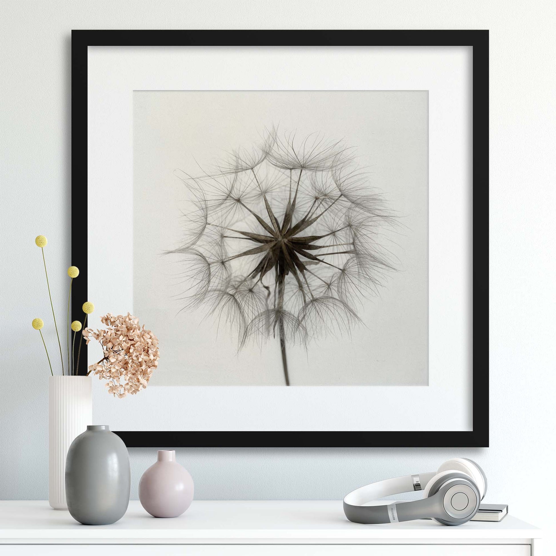 Tragopogon by Lotte Gr&oslash;nkj&aelig;r Framed Print - USTAD HOME