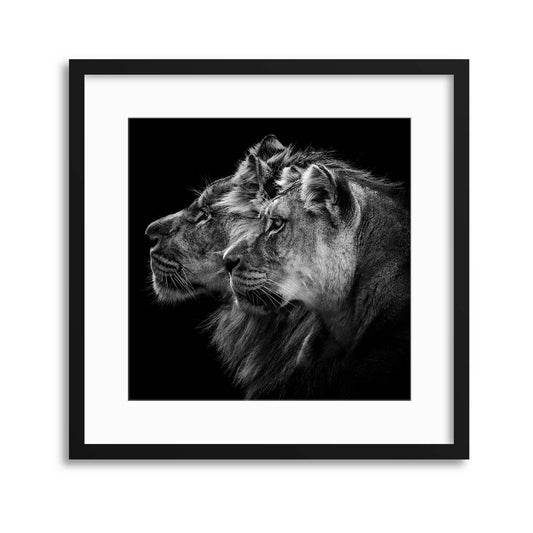 Lion and Lioness Portrait by Laurent Lothare Dambreville Framed Print - USTAD HOME