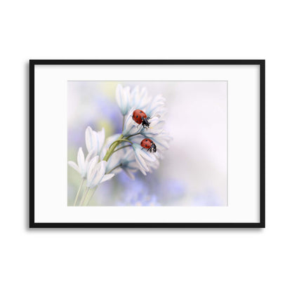 Ladybirds by Ellen van Deelen Framed Print - USTAD HOME