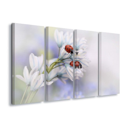 Ladybirds by Ellen van Deelen Canvas Print - USTAD HOME