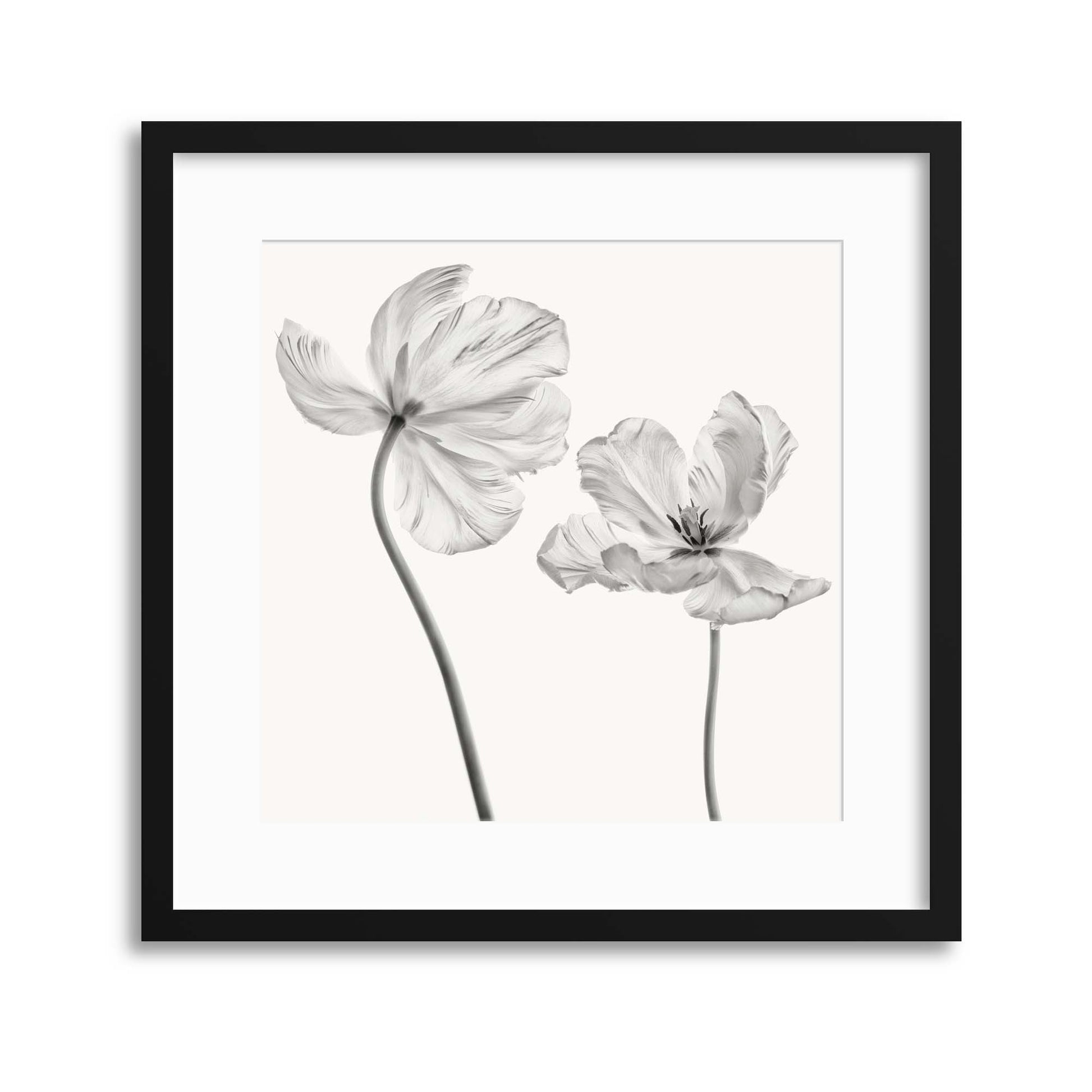 Same Tulip by Lotte Gr&oslash;nkj&aelig;r Framed Print - USTAD HOME