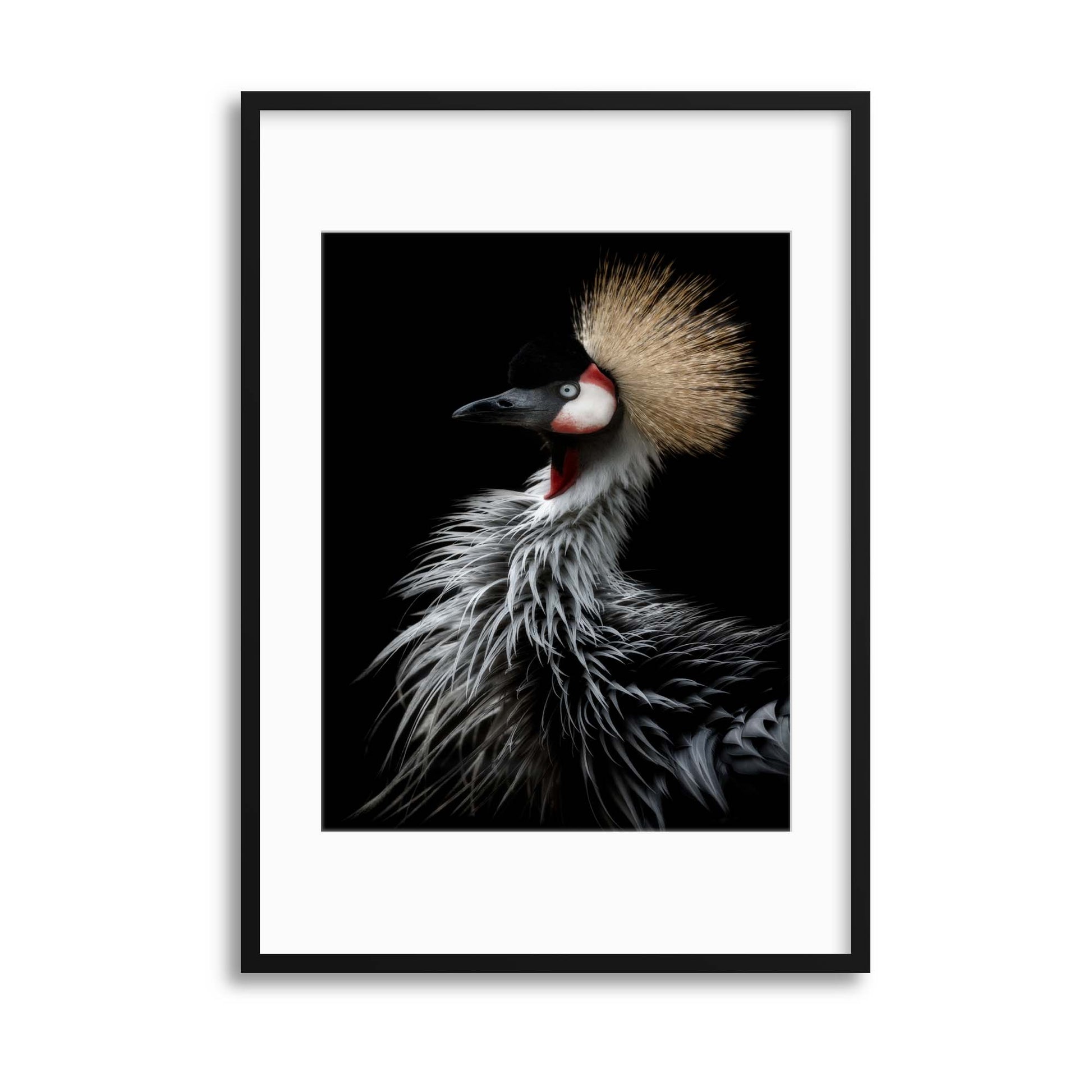 Crowned Crane's Portrait by Eiji Itoyama Framed Print - USTAD HOME