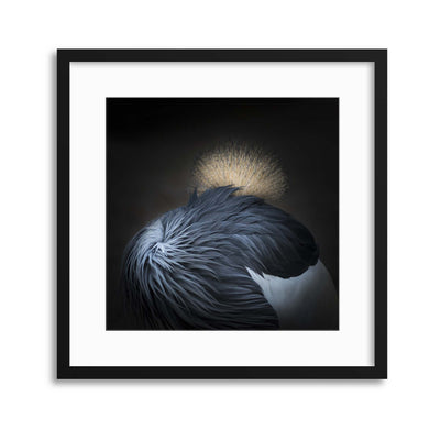 The Crown by Greetje van Son Framed Print - USTAD HOME