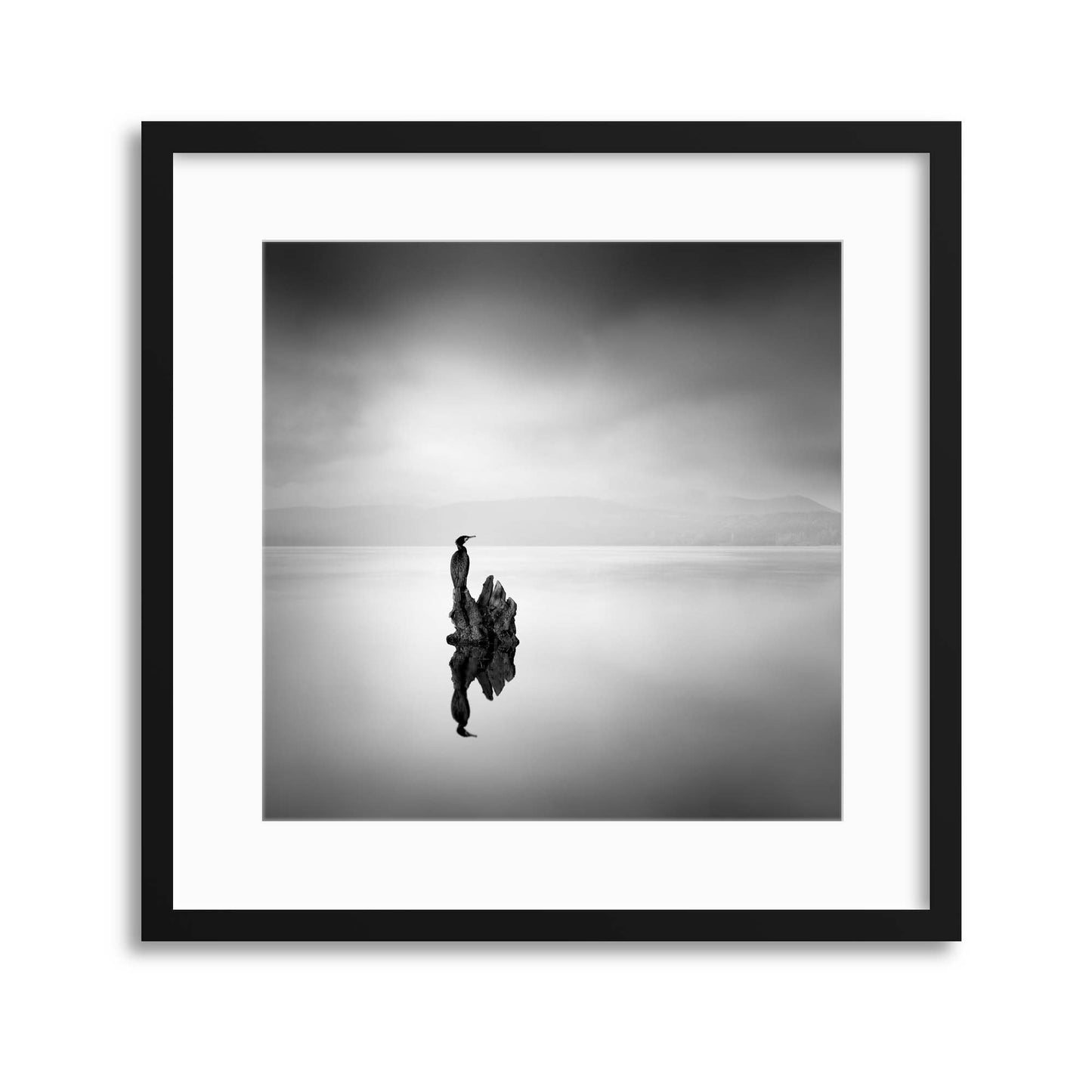 Cormorant 02 by George Digalakis Framed Print - USTAD HOME