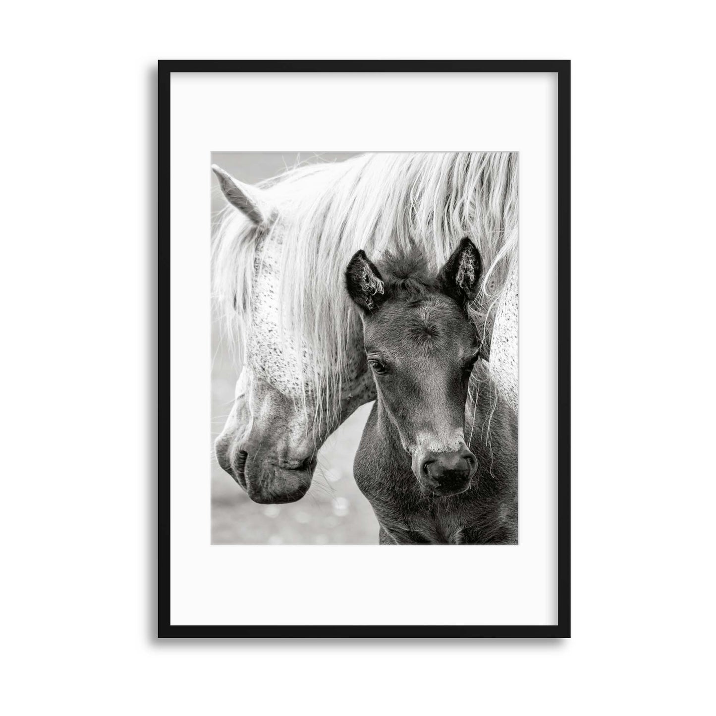 The Foal by Jacky Parker Framed Print - USTAD HOME