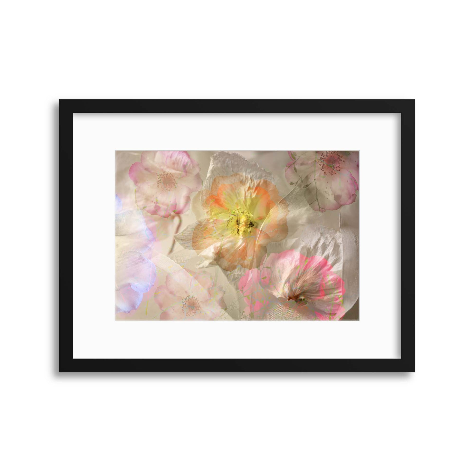 Ethereal Roses by Ludmila Shumilova Framed Print - USTAD HOME