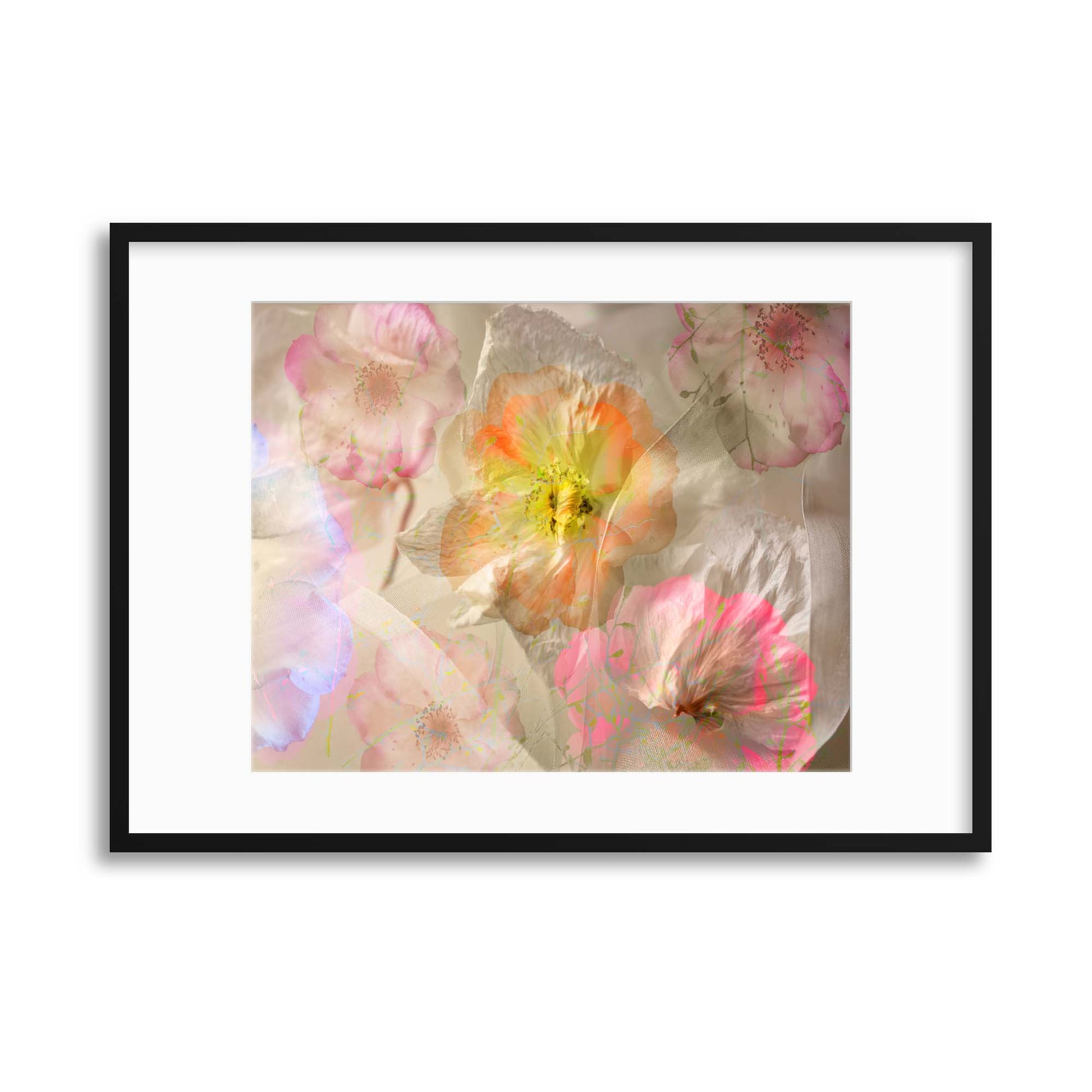 Ethereal Roses by Ludmila Shumilova Framed Print - USTAD HOME