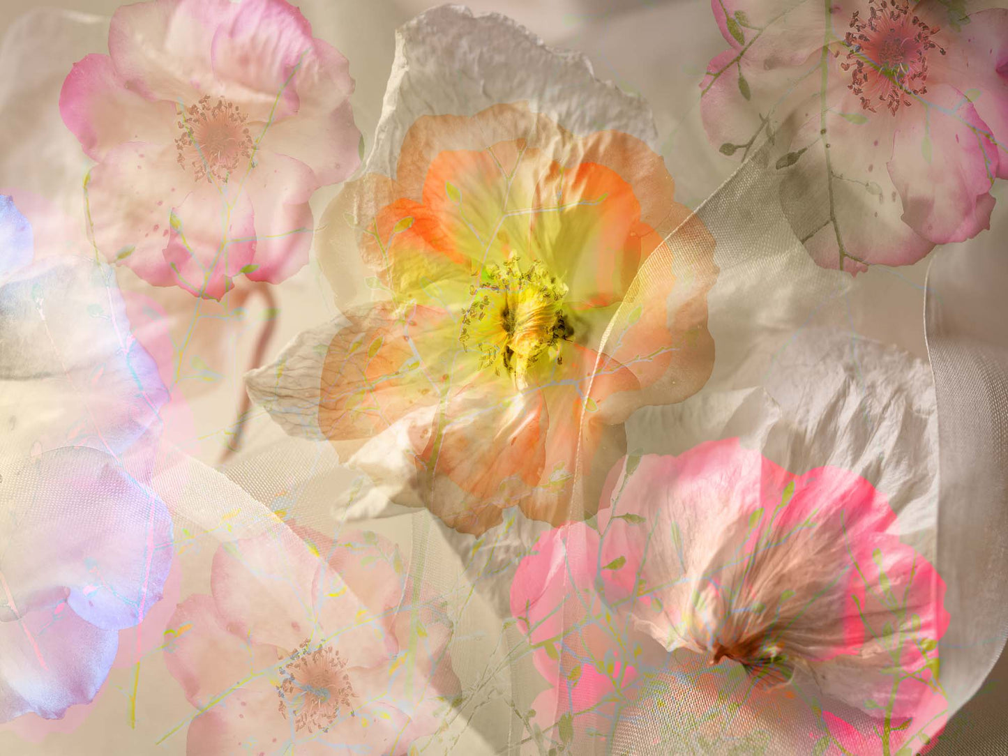 Ethereal Roses by Ludmila Shumilova Canvas Print - USTAD HOME