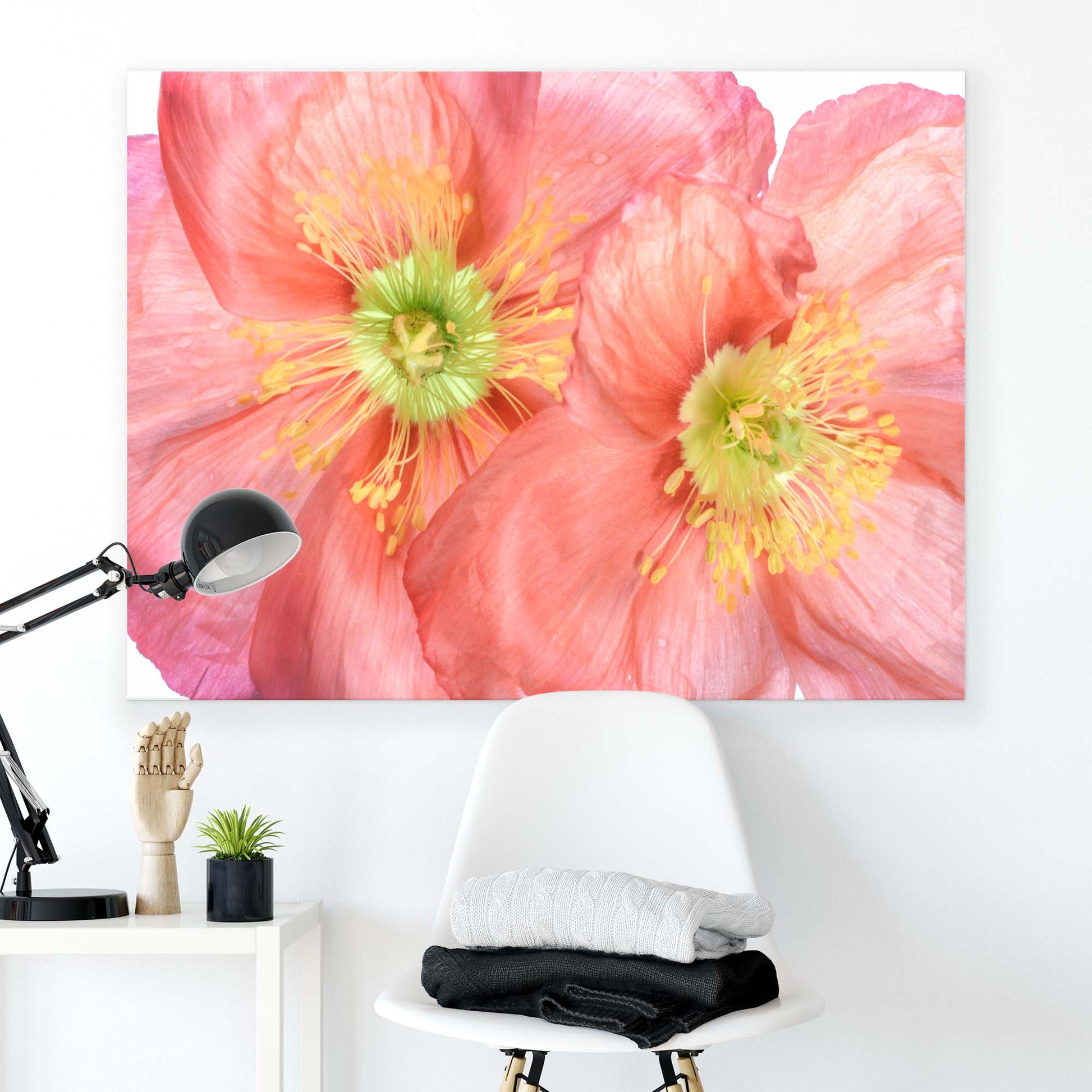 Papaver by Mandy Disher Canvas Print - USTAD HOME