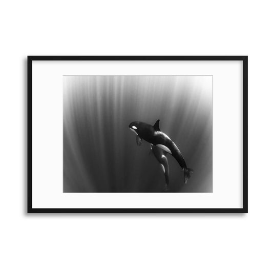 Orca's Dream by Mirko De Luca Framed Print - USTAD HOME