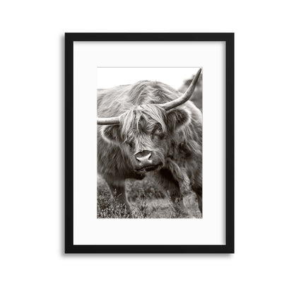 The Bull by Jacky Parker Framed Print - USTAD HOME