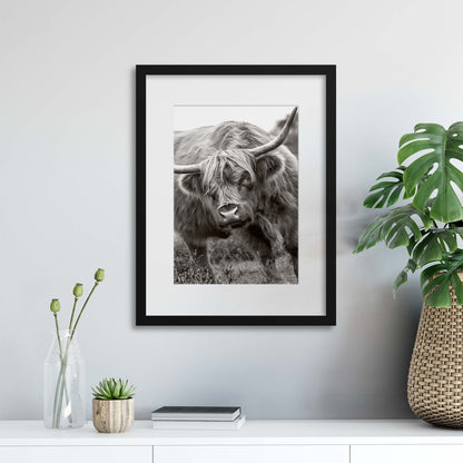 The Bull by Jacky Parker Framed Print - USTAD HOME